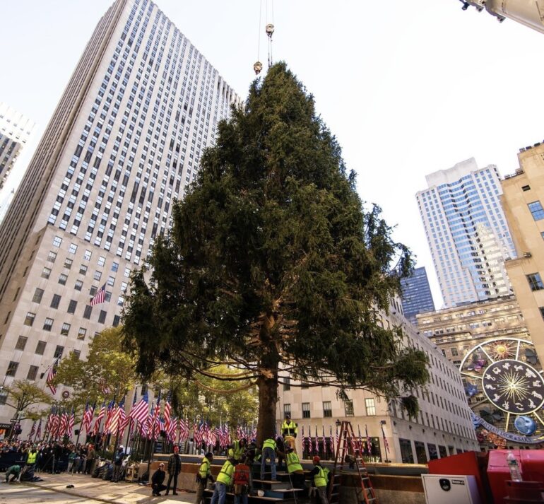 Le sapin de Noël du Rockefeller Center 2023 ©rockefellercenter
