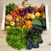 Paneolocal : des fruits et légumes bio et locaux livrés chez vous