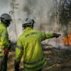 Risques d’incendies : la mobilisation de l’ONF